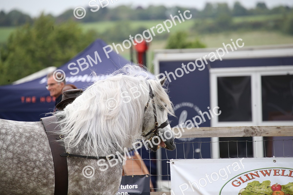 SBM_09711 - Ch 50 - Price Family Supreme In Hand