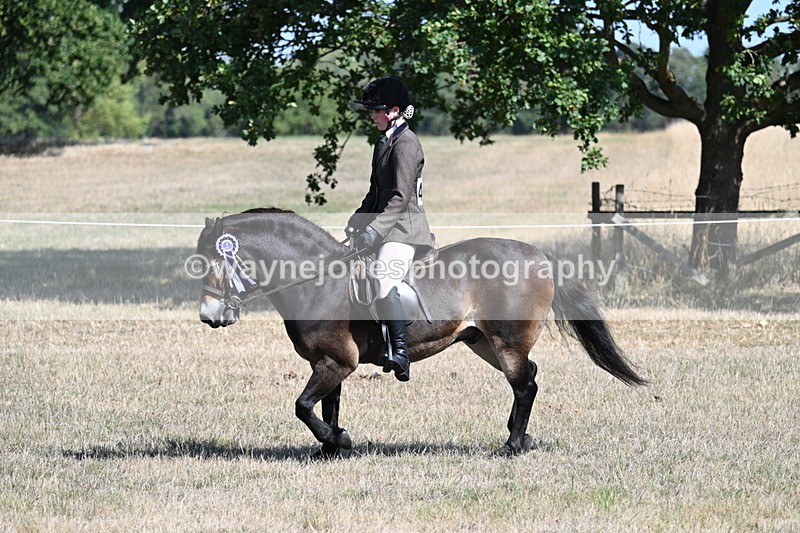WJ7_4257 - Class 9 Mountain & Moorland Ridden