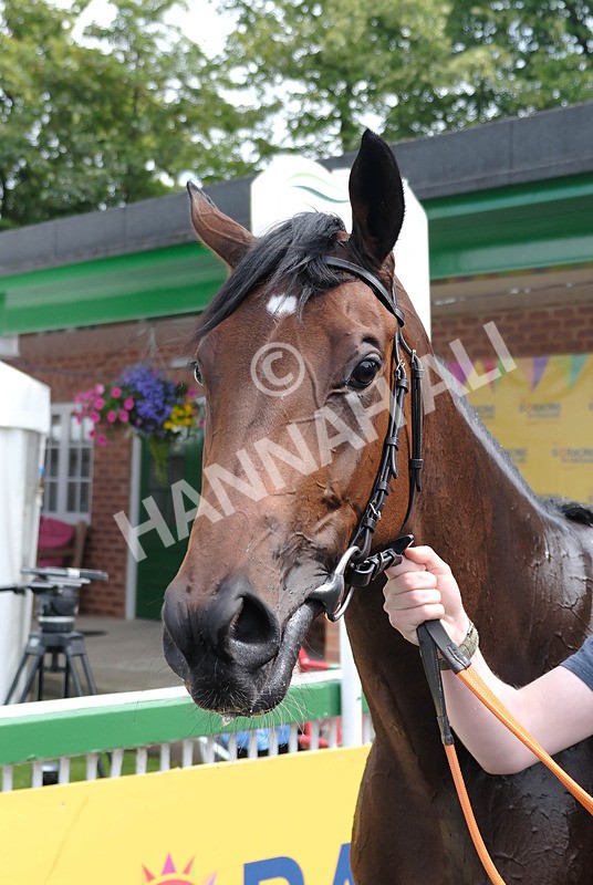 260724-Race 2-Griselda-08 - Race 2