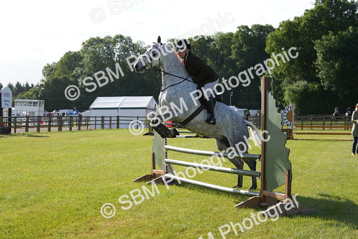 SBM_10495 - Class 97-98 - LIHS BSHA Rising Star Working Show Horse Hunter