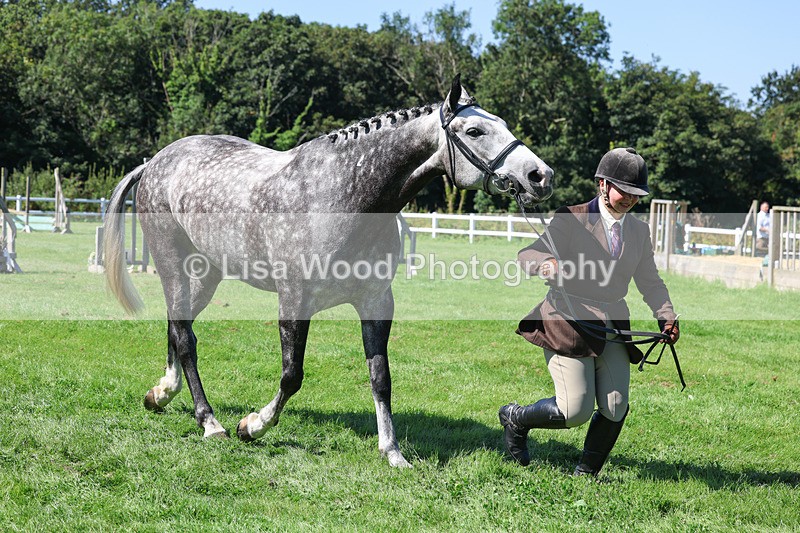 3E7A8470 - Class 4: Novice working Hunter