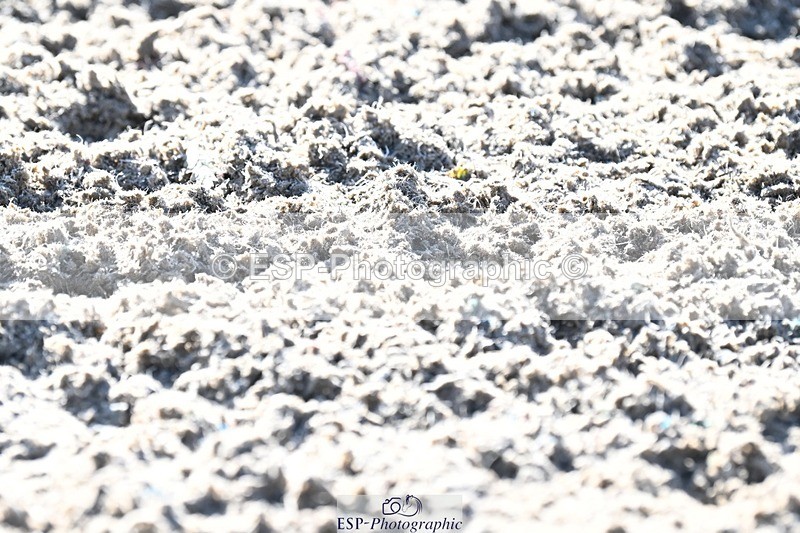 231110-114902-00546 - Cls 3 Novice 22