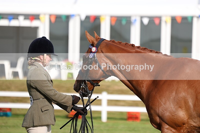 3E7A7897 - Class 1: Rising Star Small Hack/Riding Horses