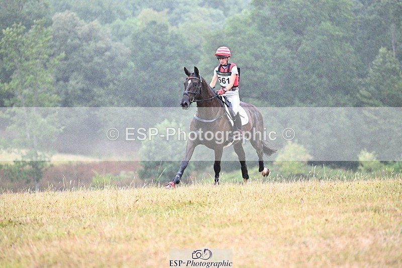 250803A-131549-13611 - M-561-Henrietta.Ewell-POMONA.WFS