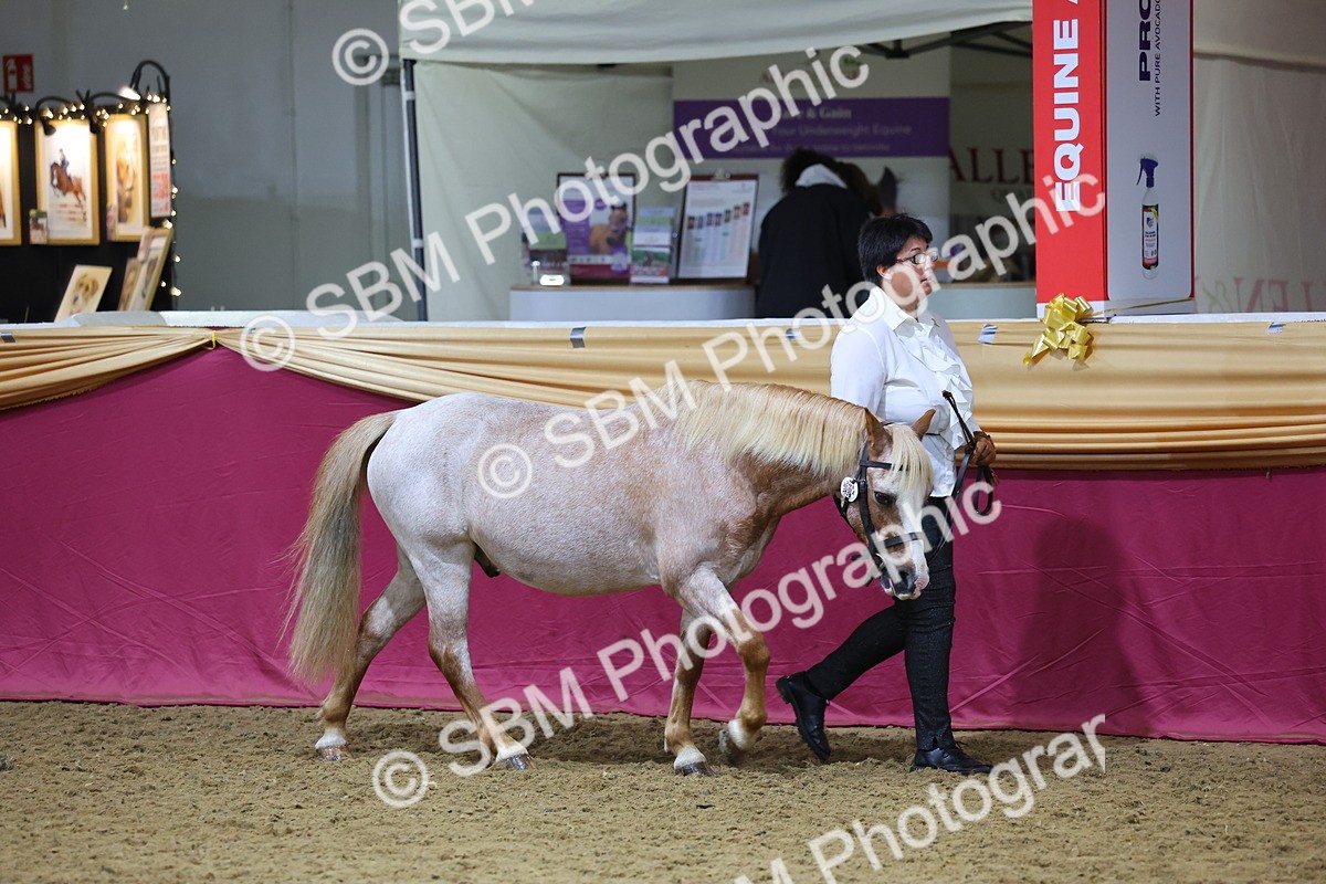 SBM_20939 - Class 902 - Supreme Final IH Veteran