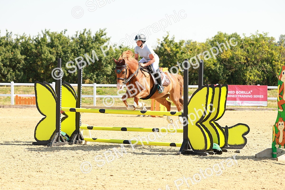 SBM_000036 - Class 2 - Senior British Novice - 90cm
