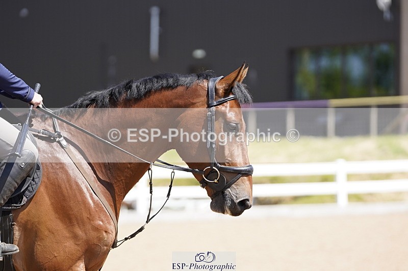 230527A-122152-04163 - Cls 21 85cm Amateur Quali