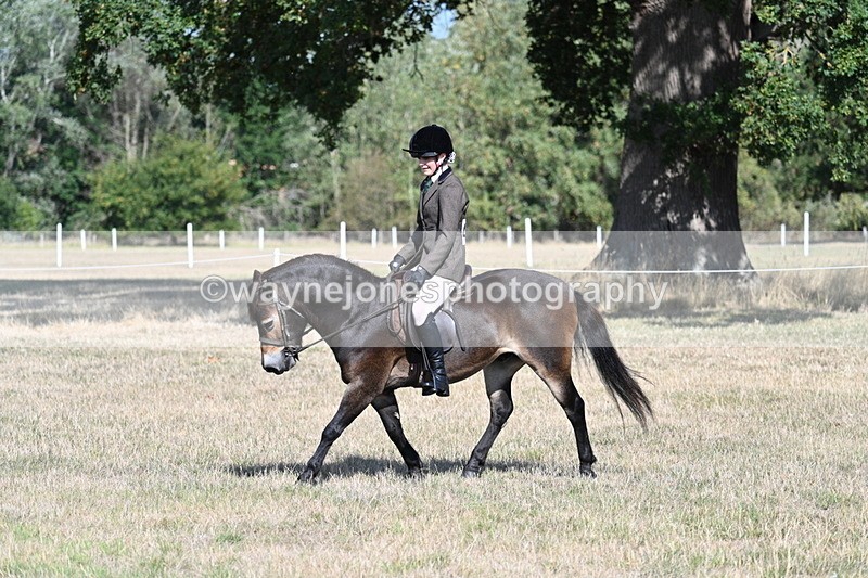 WJ7_2928 - Class 8 Ridden Tack & Turnout