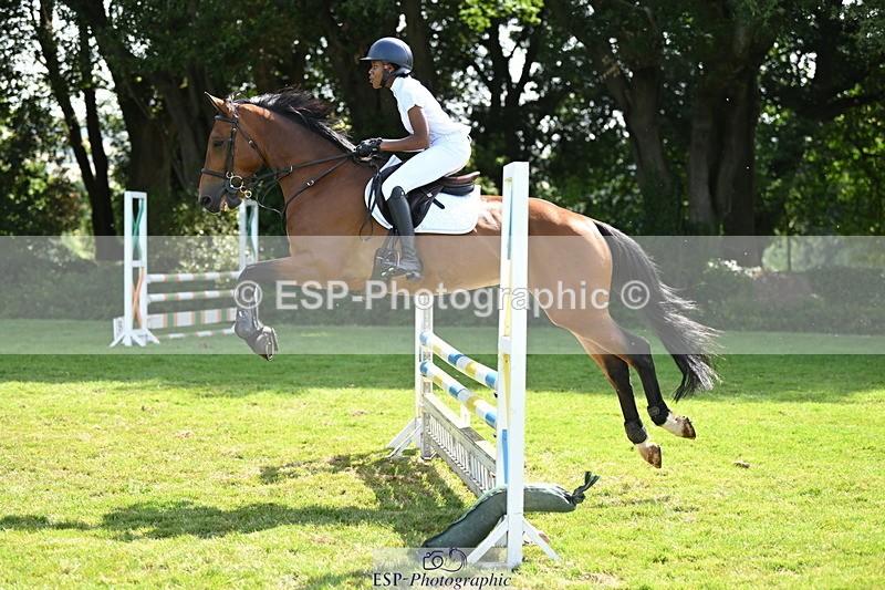 250704A-102200-06953 - Cls 25 Snr British Novice and 90cm