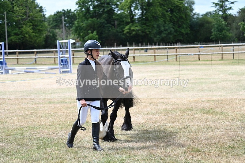 WJ7_1661 - Class 4 Prettiest Mare up to 14.2hh in hand