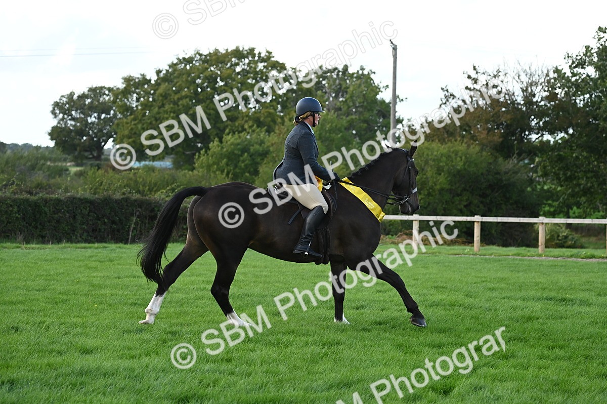 SBM_26503 - S6 - Novice & newcomer Ridden horse