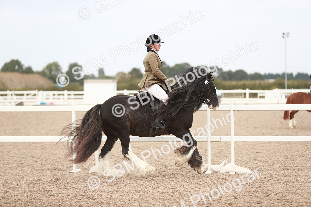 SBM_16675 - Class 214 Ridden Cob