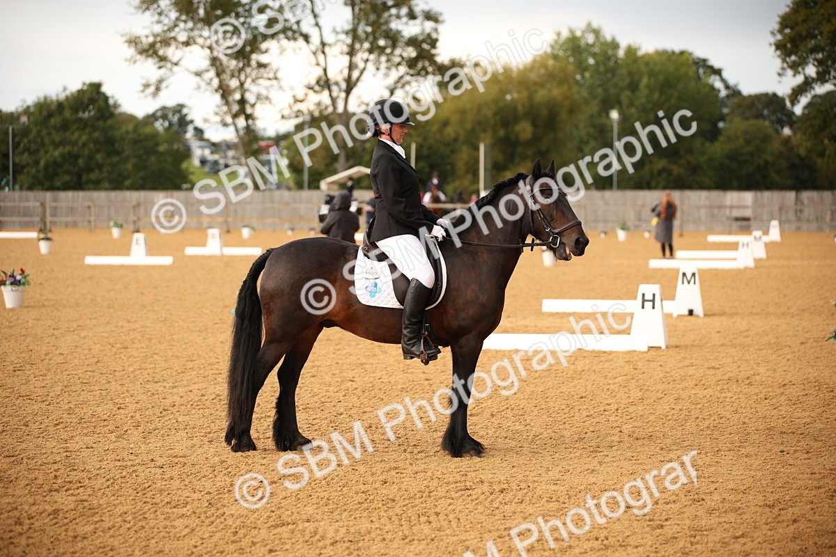SBM_12406 - D3 Small  Tour Championship Intro A