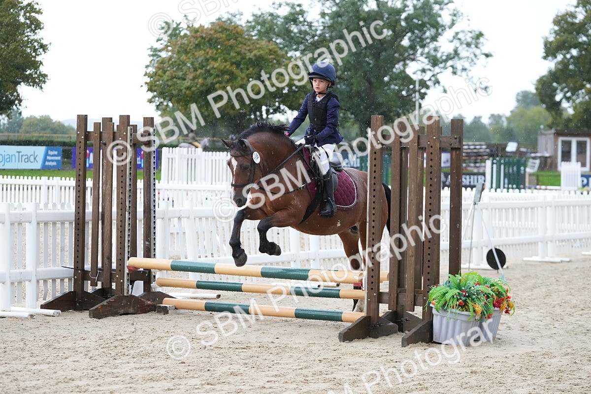 SBM_33820 - J5 - Junior Pony 50cm Championship