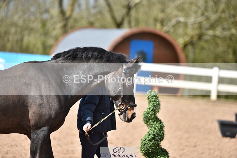 240417A-155654-01037 - 3pm to 4pm