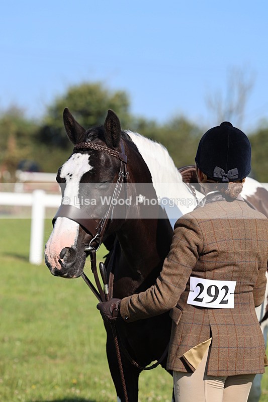 IMG_1406 - Class 28: Ridden Plaited Coloured Pony