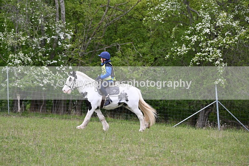 WJ6_1949 - Group 8 A&B Cameras