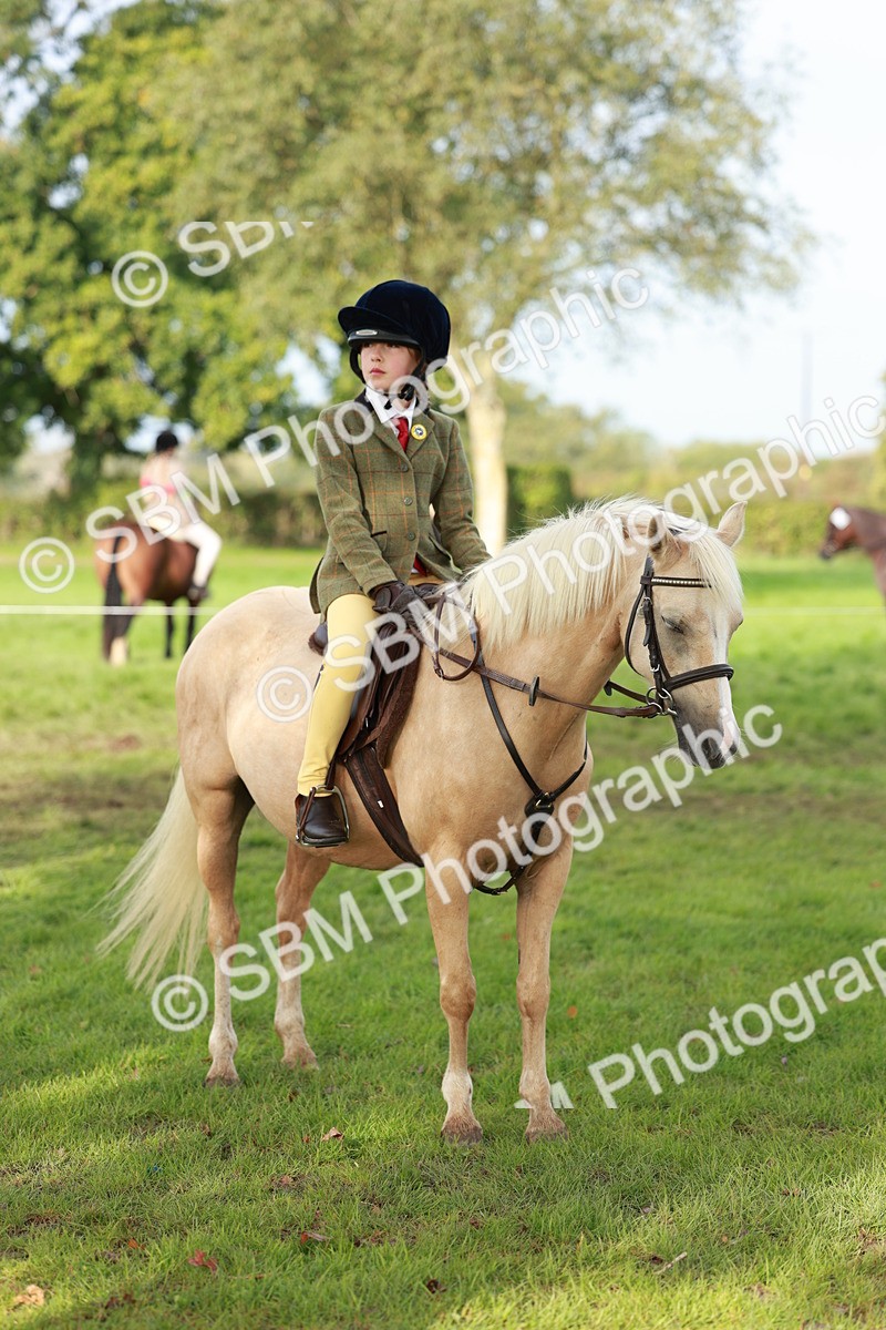 SBM_56412 - S39 - Starters In Hand Showing