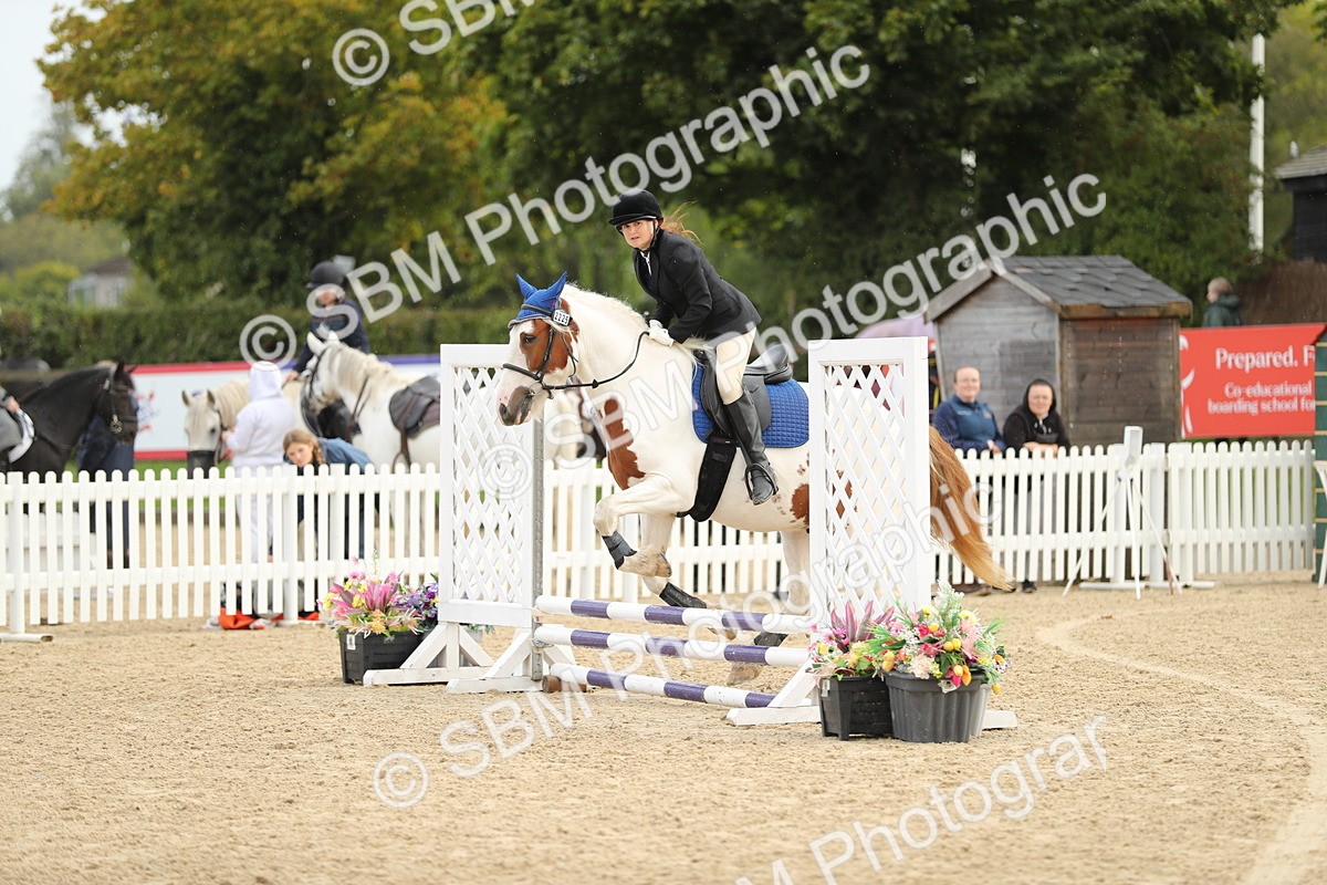 SBM_02016 - J34 - Veteran Rider 50cm