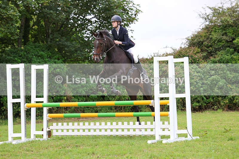 3E7A6985 - Class 5: Senior British Novice/90cm open