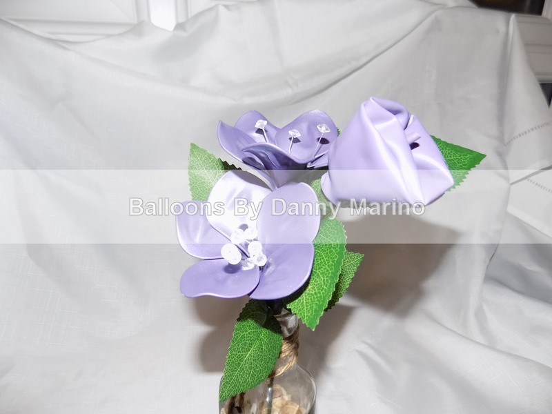  - Balloon Flowers