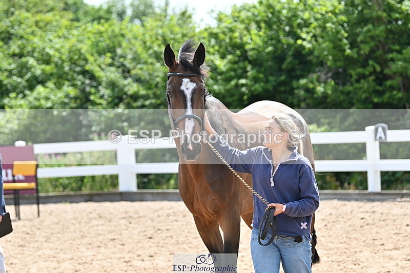 240717A-150954-02594 - Trot Up 3pm to 4pm