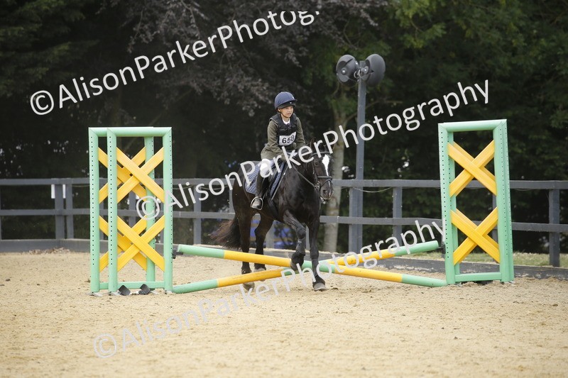 20250622-4687 - 50cm