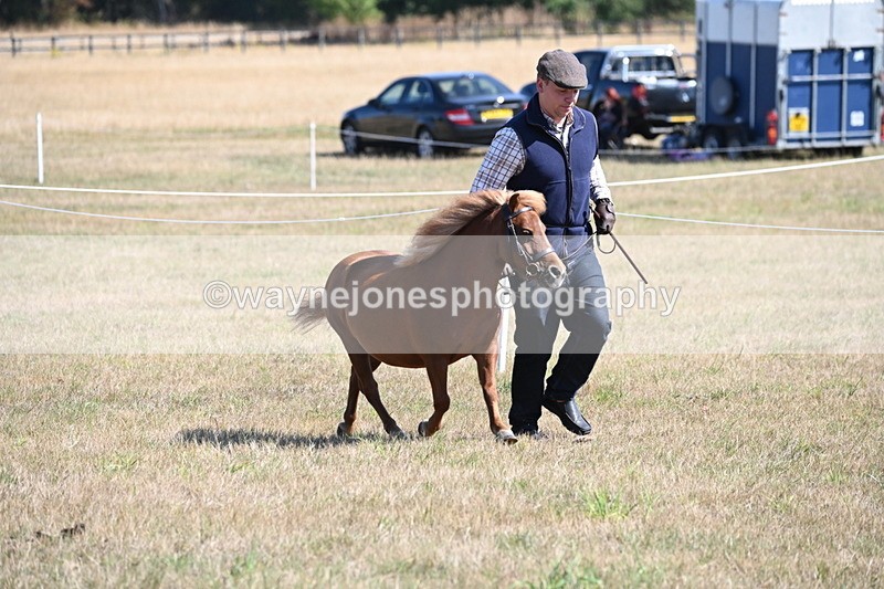 WJ6_4613 - Class 17 Mountain & Moorland