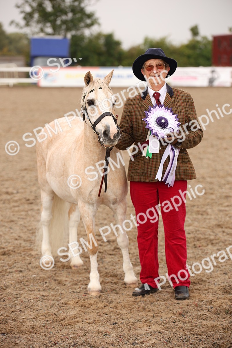 SBM_20737 - Class 705 - IH  Combination 65+