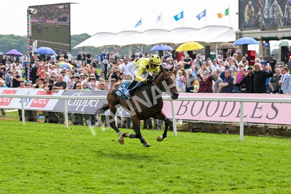 170524-Race 2-Botanical-7681 - Race 2 2.45pm Knights Solicitors Handicap