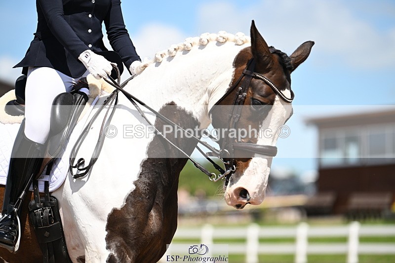 240621A-140816-04210 - Cls 8 BD Elementary 53