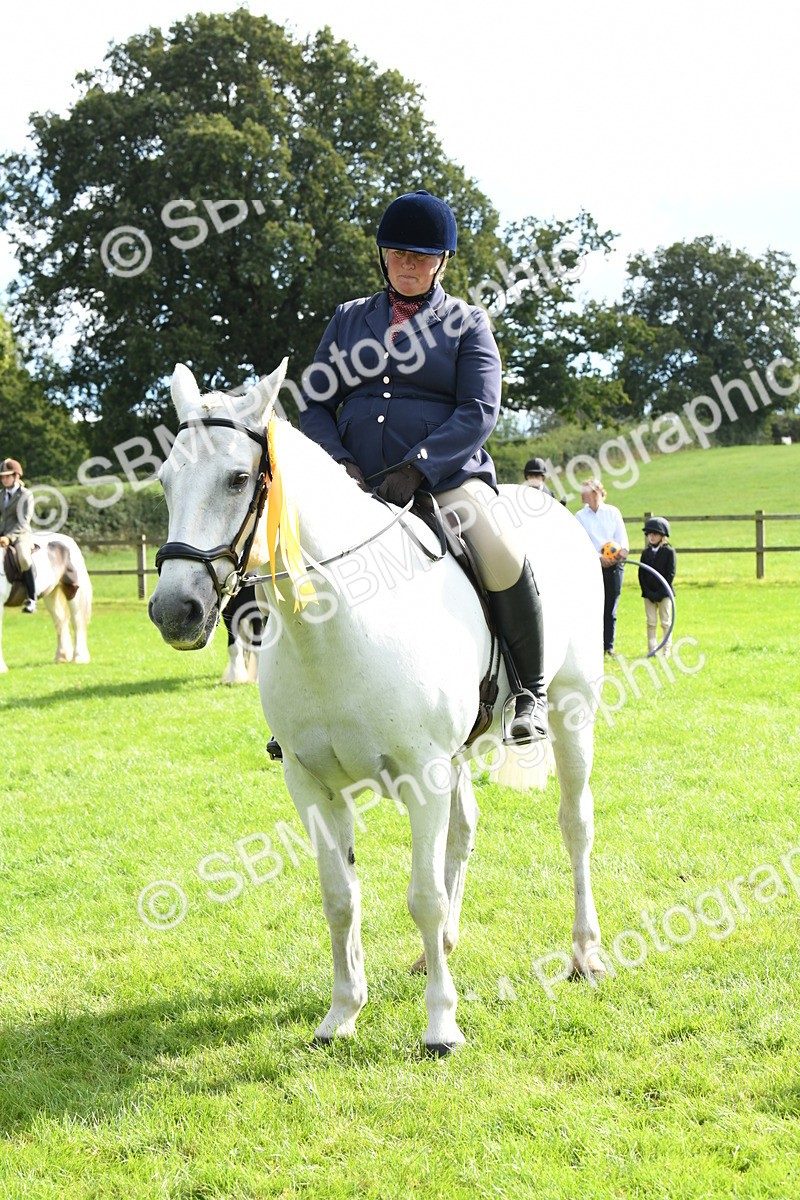 SBM_47253 - S12 - Family Horse & Pony