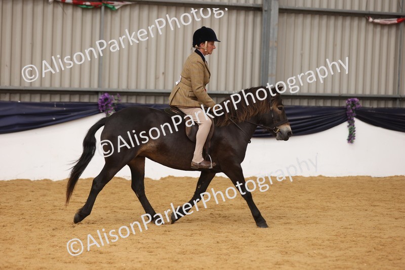 20260913-0710 - Class 127 - Young Ridden 4-6 years
