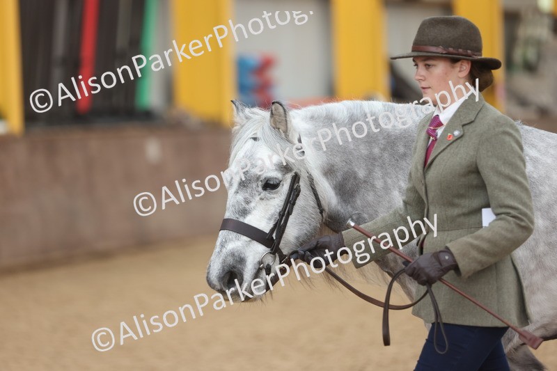 20251109-1043 - Class 28 - Mares 4 Years and over