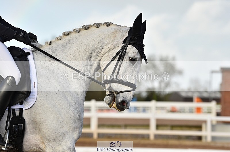 231104A-140620-02037 - Cls 10 Medium 61