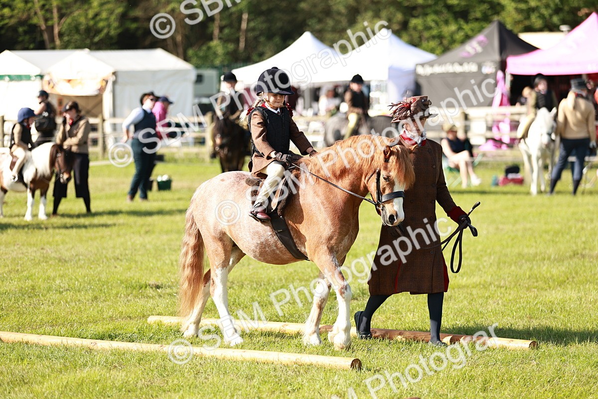 SBM_11194 - Class 106-107 - BSPS LIHS Working Sports Pony