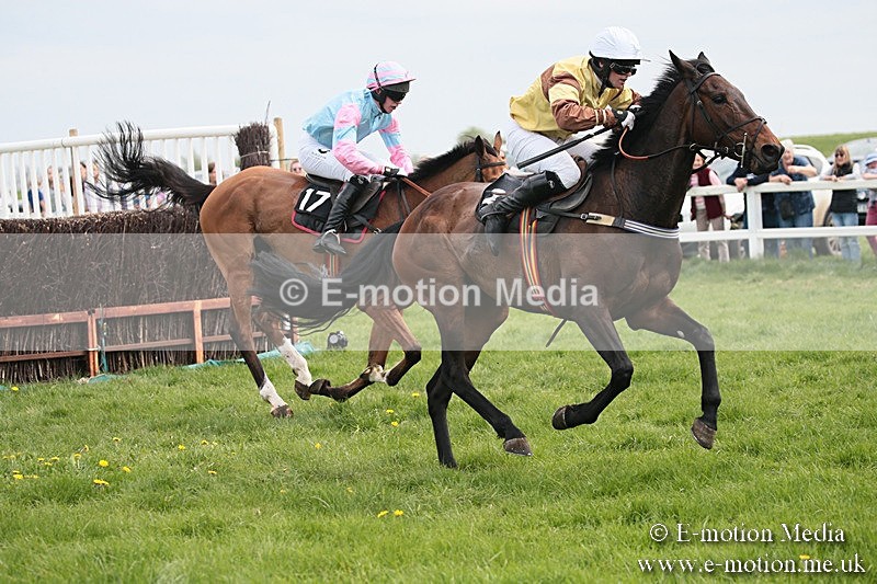 PtP 210418 231 - South & West Wilts Point-to-Point Larkhill 21/04/18