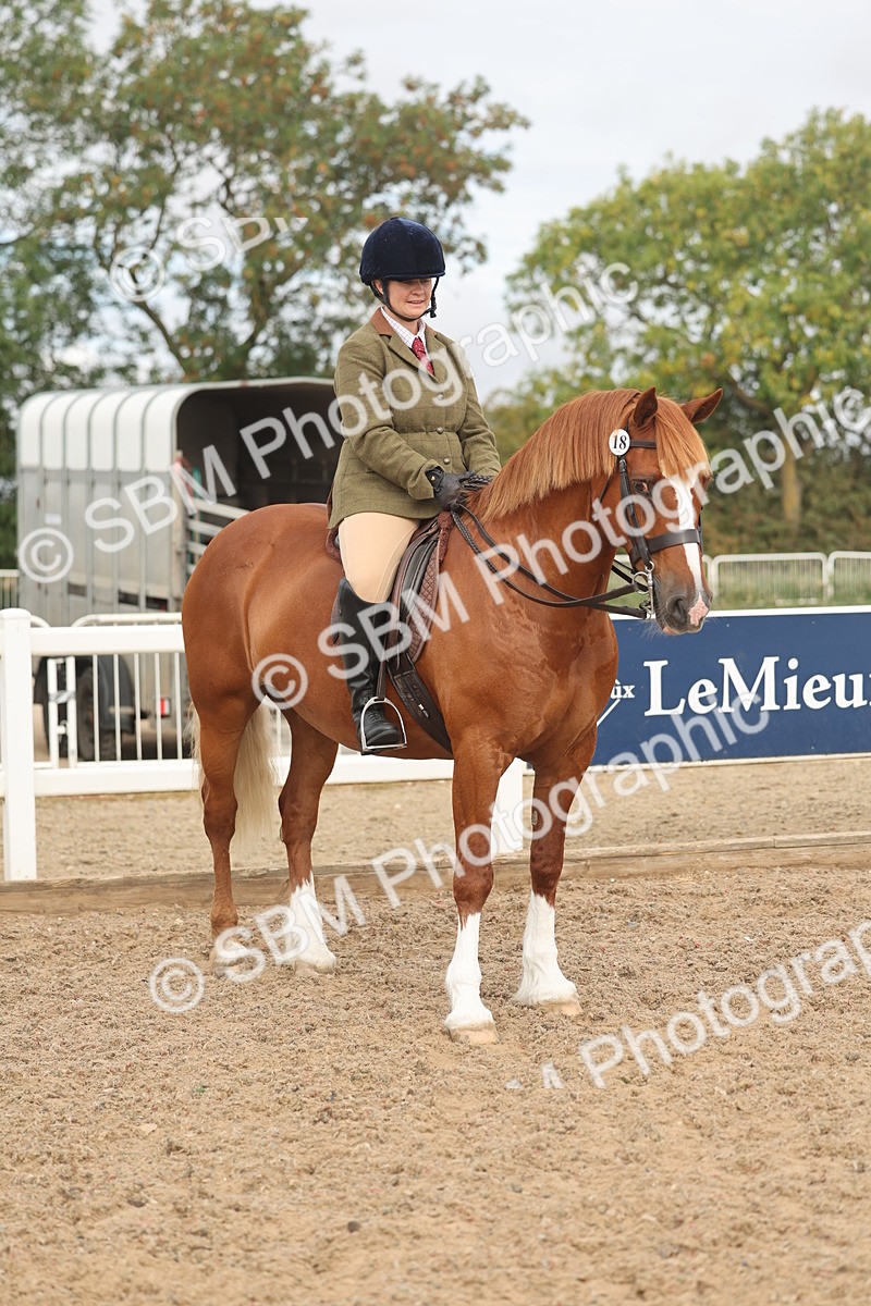 SBM_01942 - Class 14 - Ridden M&M Wildcard