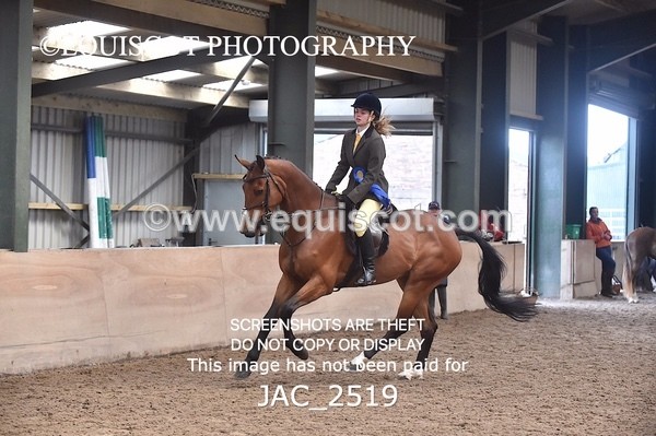 JAC_2519 - CLASS 3 Intermediate Working Hunter