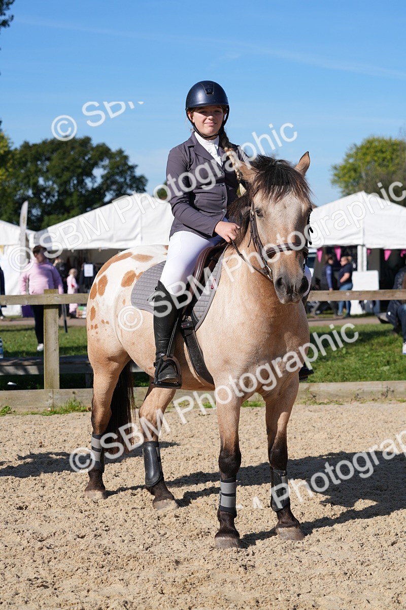 SBM_36257 - J 20 - Junior Horse 50cm Championship