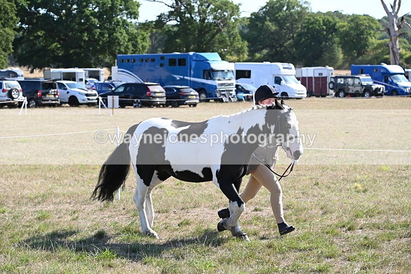 WJ6_7505 - Class 34 Judges Choice
