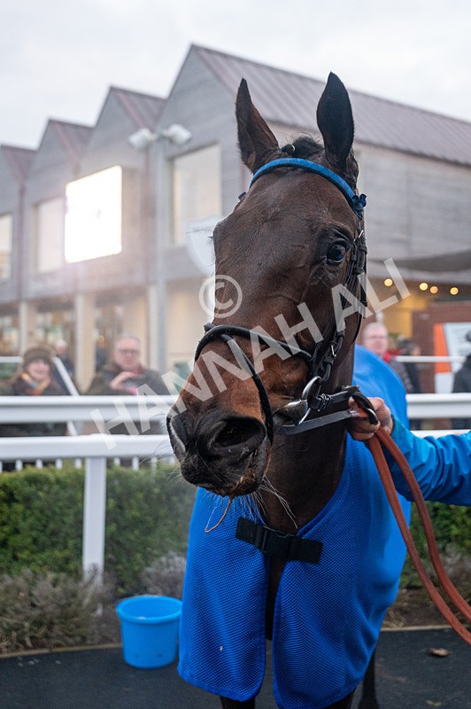 220125-Race 7-Connect The Dots-2907 - Race 7
