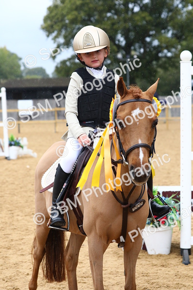 SBM_72102 - J3b - Mini Tour Junior Pony 40cm Championship