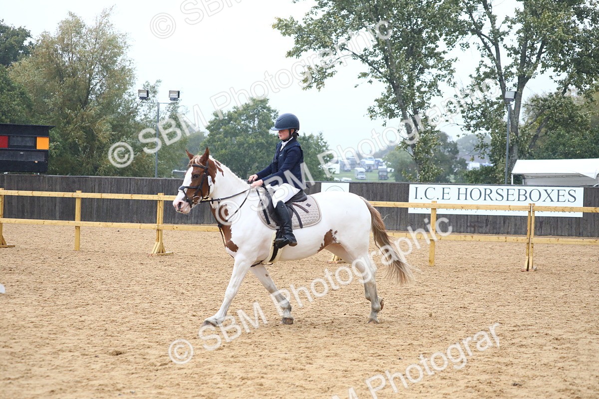 SBM_71710 - J4 - Mini Tour Junior Pony 45cm Championship