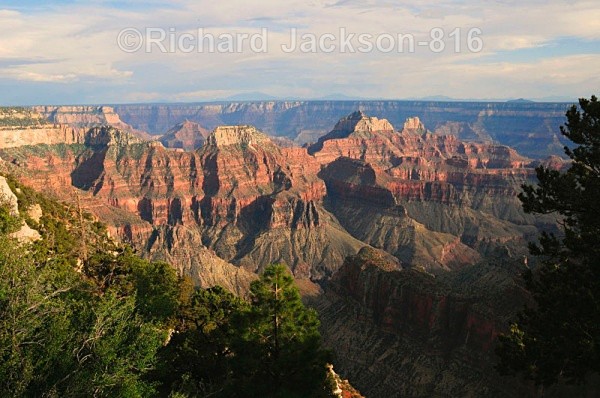 Evening Light - Grand Canyon - North Rim