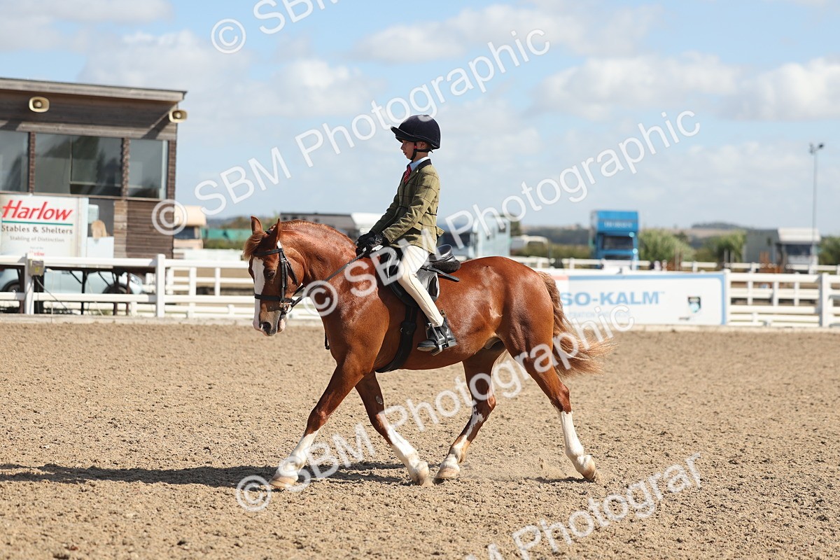 SBM_23072 - Class 806 - Young Rider 10ry and Under