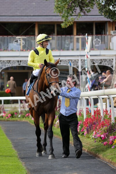 yr08072022r5-24 - Race 5 4.25pm Azets Stakes