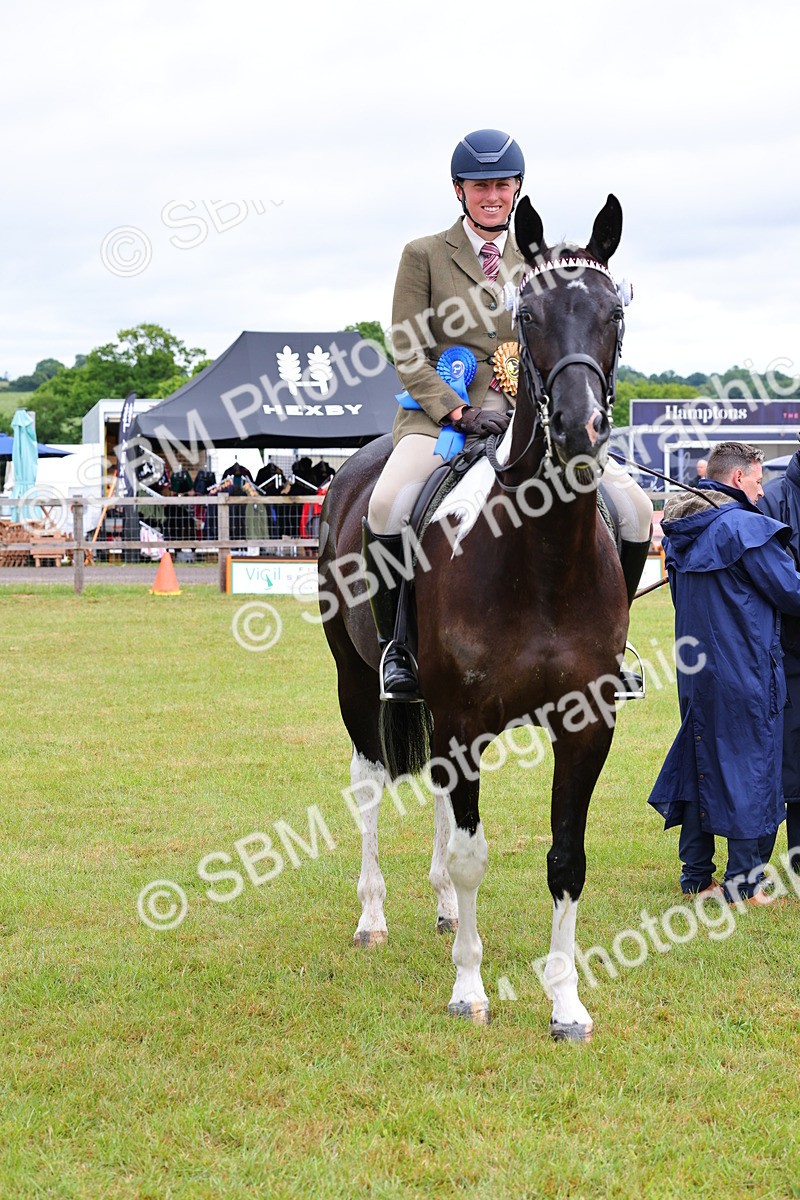 SBM_02558 - Class 9-11 Side Saddle including LIHS Rising Star Ladies Show Horse
