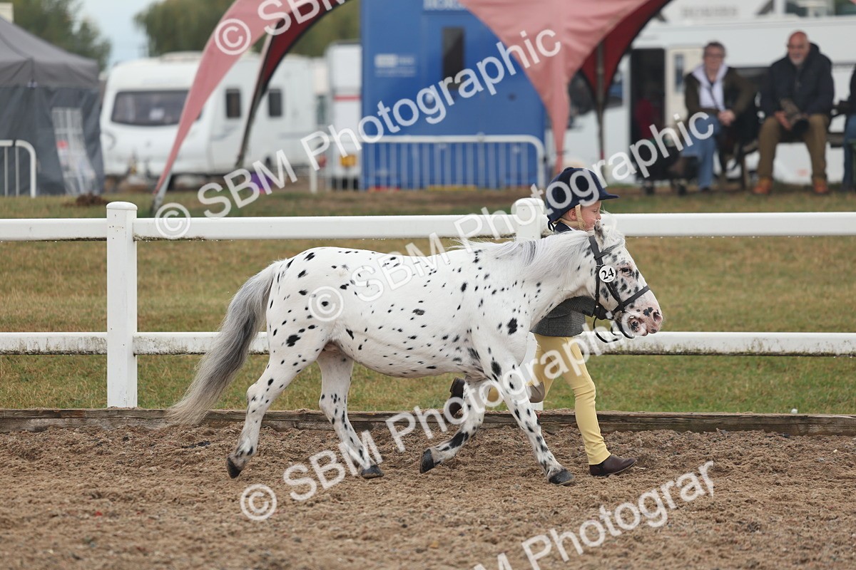 SBM_08437 - Class 29 - IH Veteran Pony
