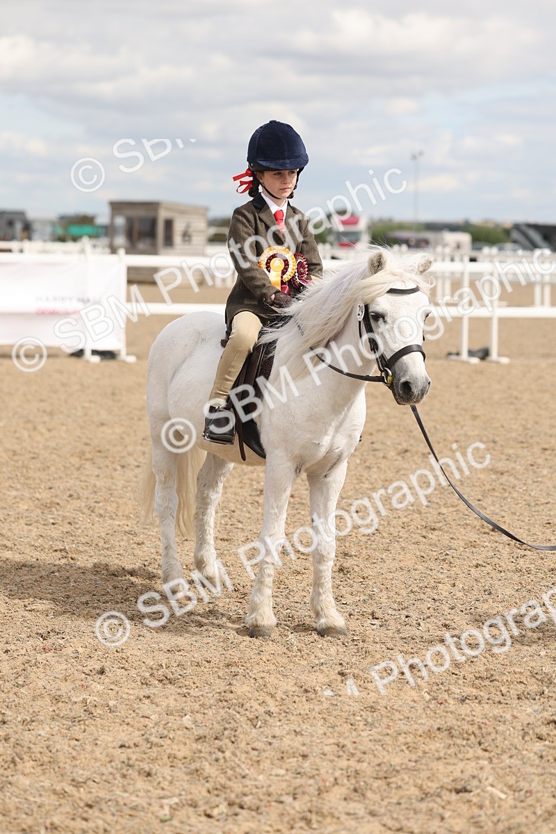 SBM_15847 - Class 309 - Lead Rein Pony
